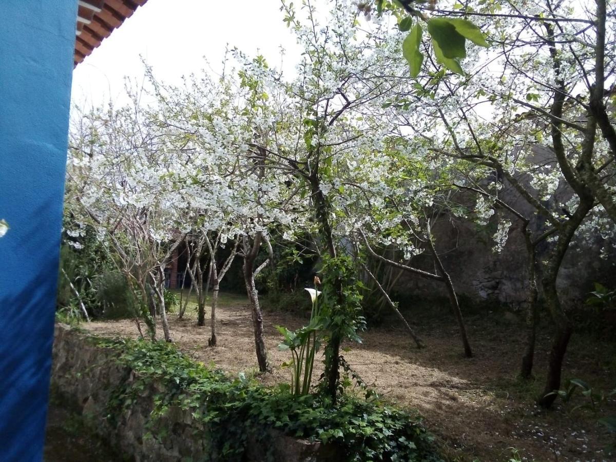 Casas Altas Obidos - Al Villa Sobral  Buitenkant foto
